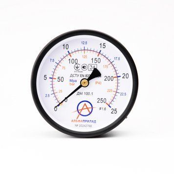 Манометр ДМ 100.1, 25 МПа (250 бар), 1,6 к.т., IP40, М20х1,5, Осевое НФ-00003181 фото