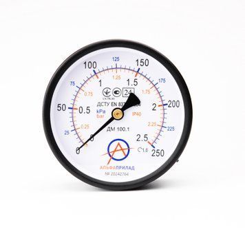 Манометр ДМ 100.1, 250 кПа (2,5 бар), 1,6 к.т., IP40, М20х1,5, Осевое НФ-00003168 фото