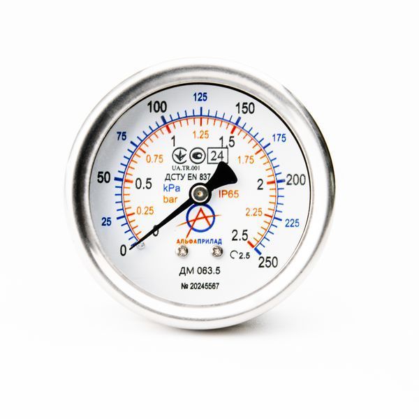 Манометр вибростойкий ДМ 063.5, 250 кПа (2,5 бар), 2,5 к.т., IP65, G1/4, с глицерином, осевой НФ-00000788 фото
