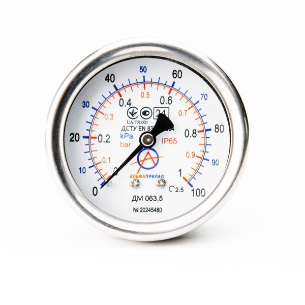 Манометр вибростойкий ДМ 063.5, 100 кПа (1 бар), 2,5 к.т., IP65, G1/4, с глицерином, осевой НФ-00001788 фото